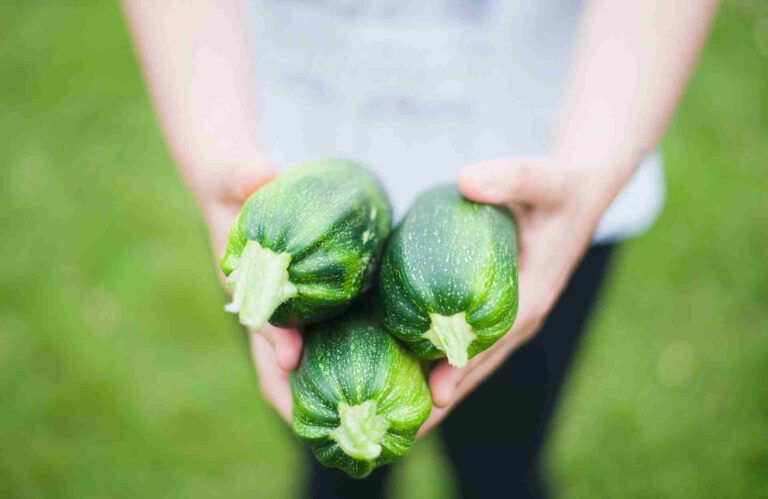 Courgette slowcooker