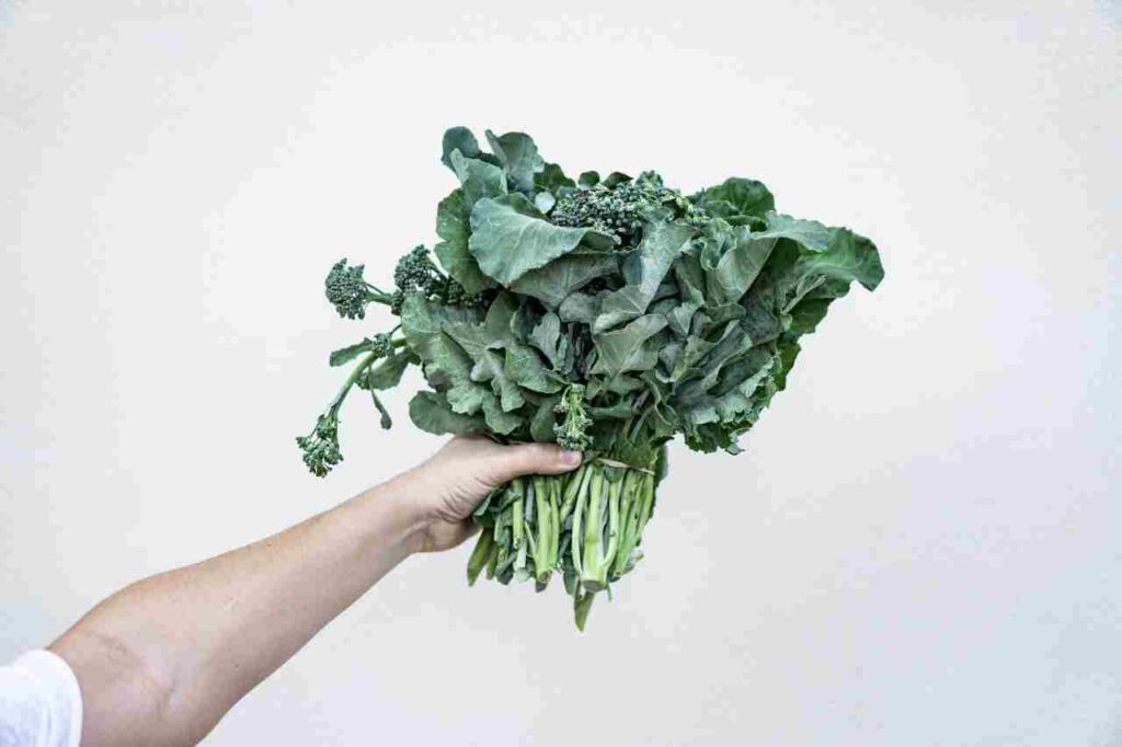 Boerenkool koken