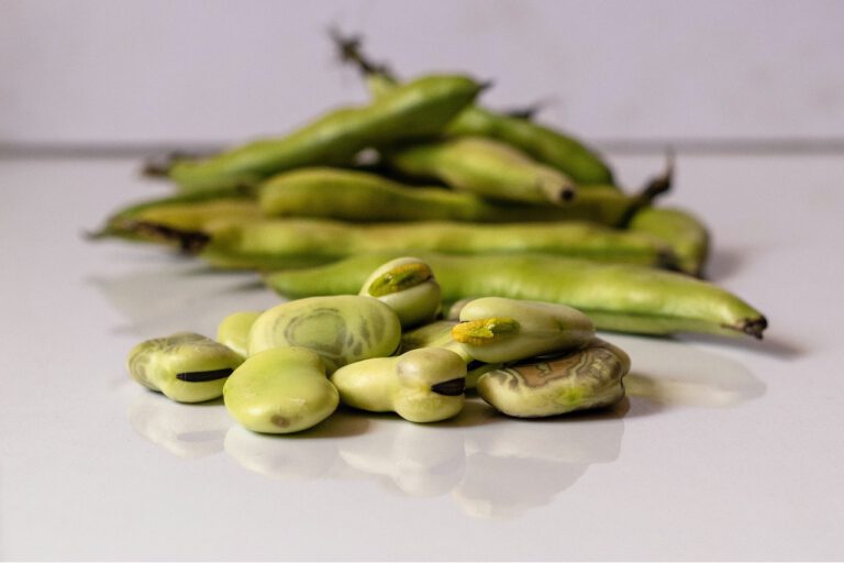 tuinbonen koken