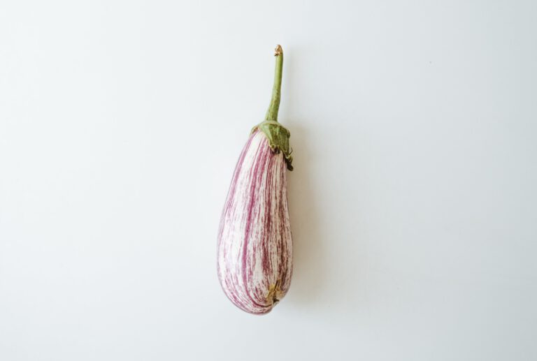 Slowcooker Gerechten met Aubergine